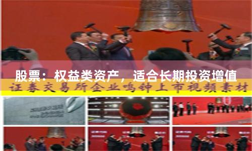 股票：权益类资产，适合长期投资增值